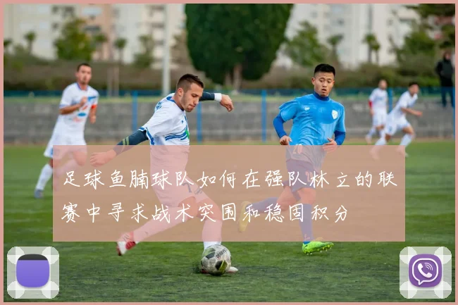 足球鱼腩球队如何在强队林立的联赛中寻求战术突围和稳固积分
