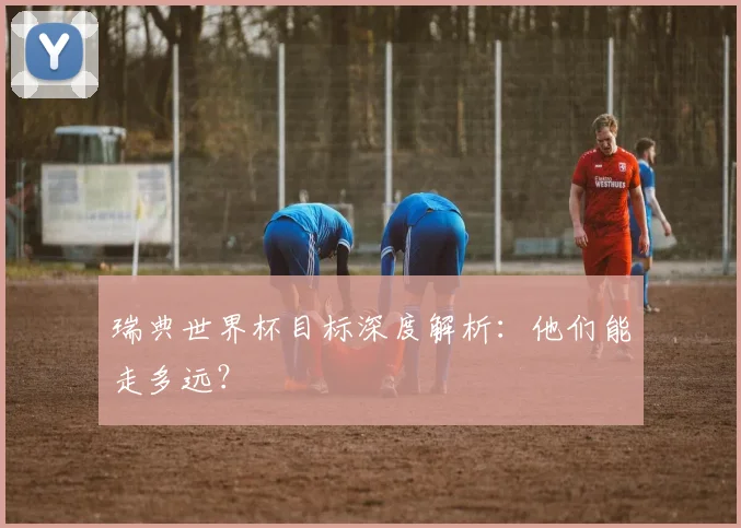 瑞典世界杯目标深度解析：他们能走多远？
