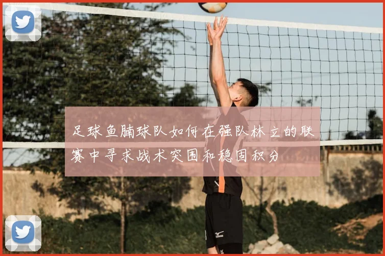 足球鱼腩球队如何在强队林立的联赛中寻求战术突围和稳固积分